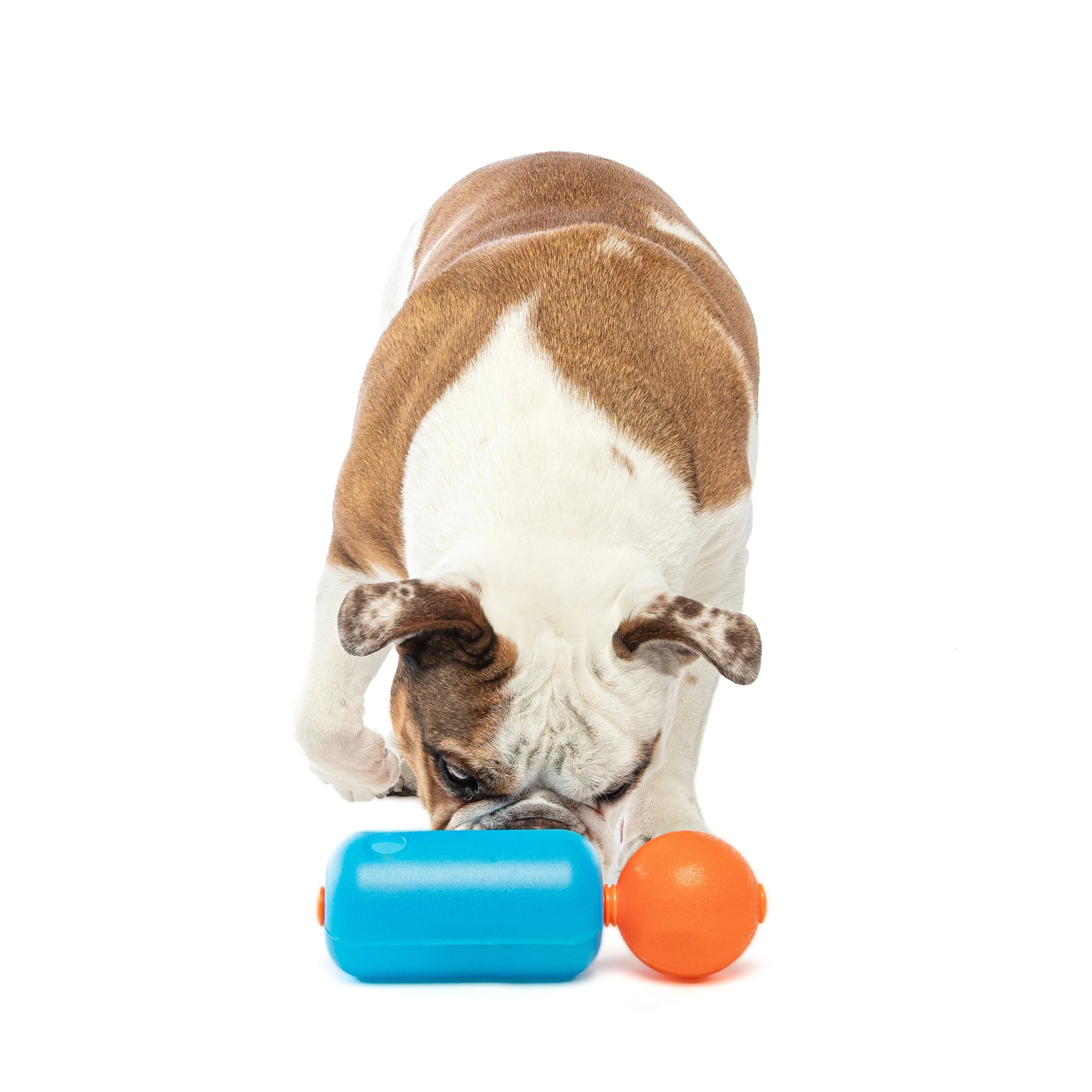 Guru Treat Challenger Medium Dog Toy - Image 2