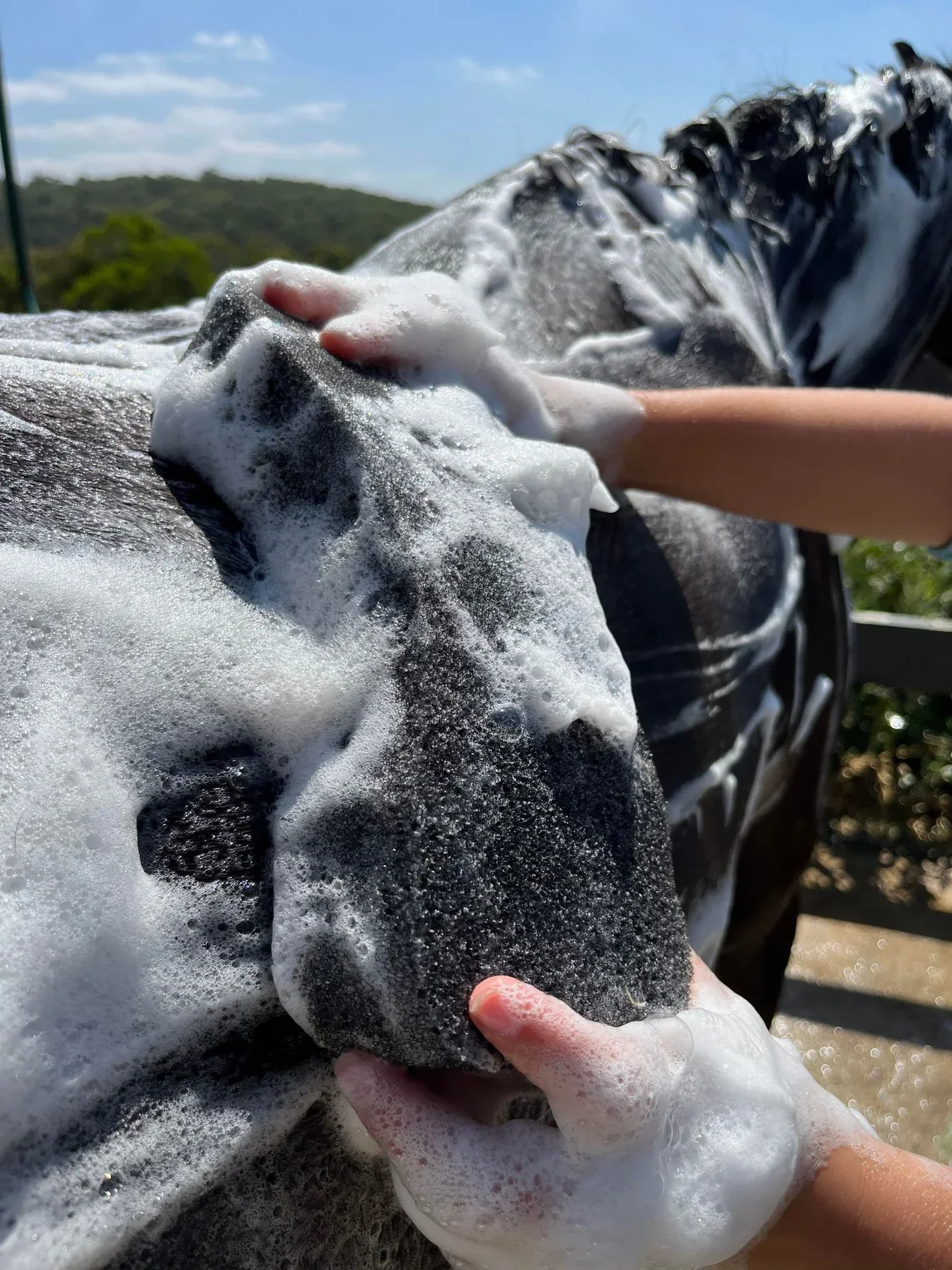 Hairy Pony Compressed Sponge - Image 2