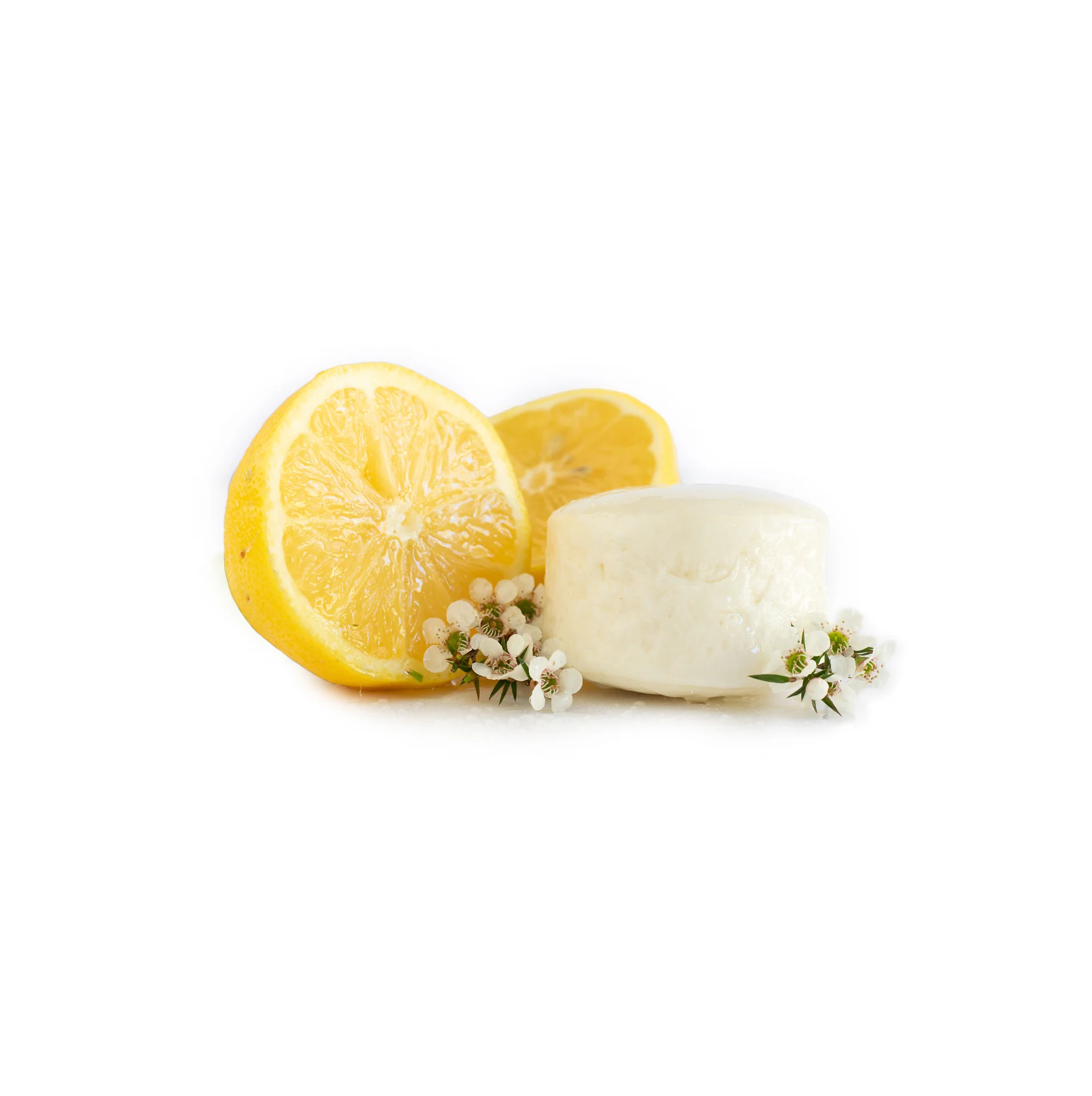 Hairy Pony Eco-Friendly Original Shampoo Bar - Image 10