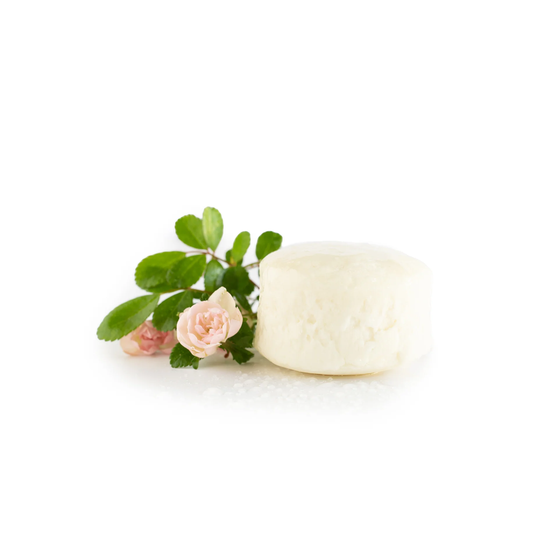 Hairy Pony Eco-Friendly Original Shampoo Bar - Image 13
