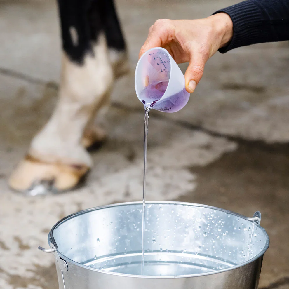 Hairy Pony Essential Oil Coat Conditioner - Image 6