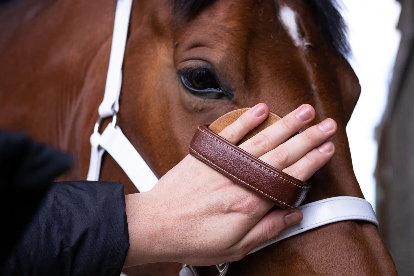 Hairy Pony Face Brush - Image 4