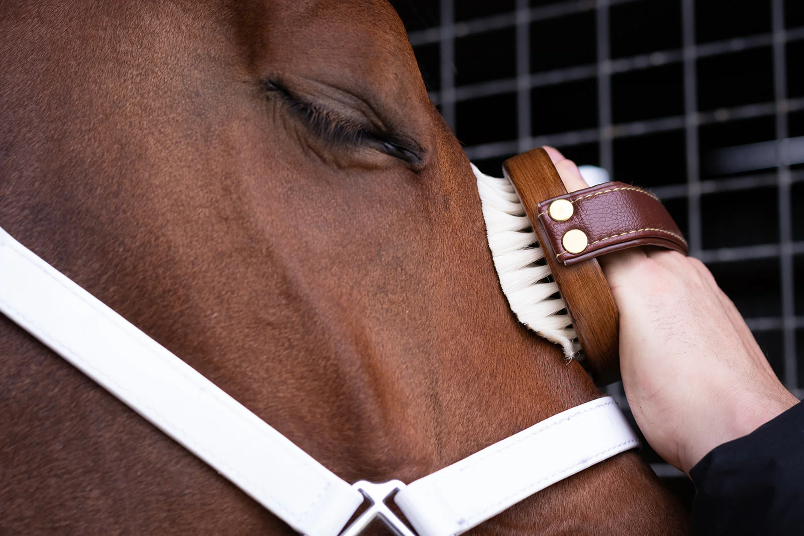 Hairy Pony Face Brush - Image 5