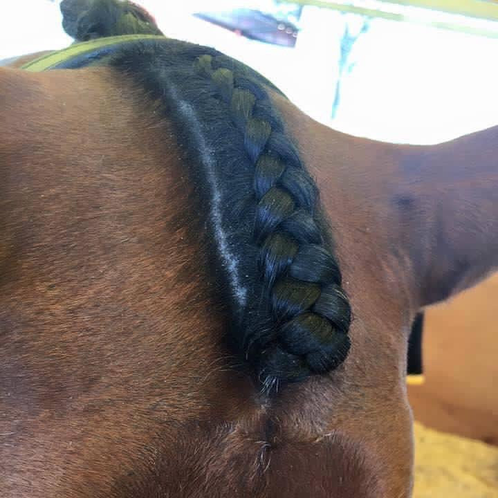 Hairy Pony Fastening Scissors - Image 3
