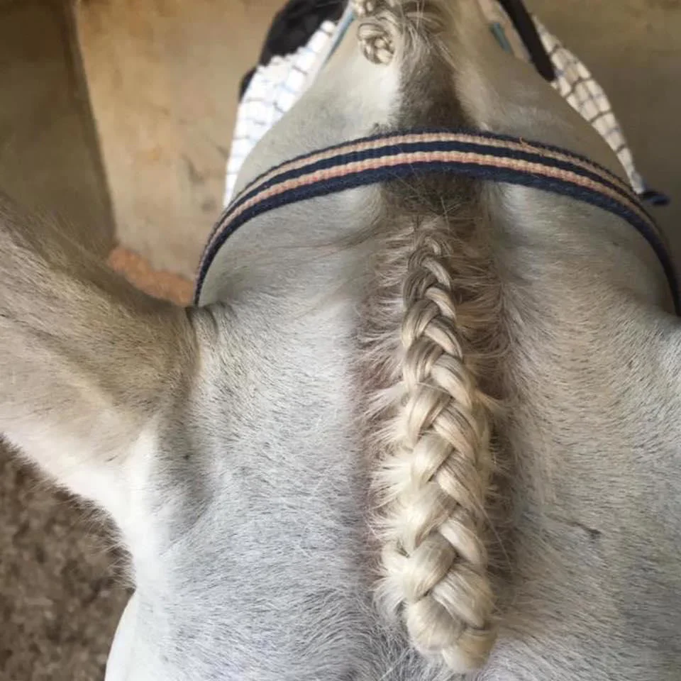 Hairy Pony Fastening Scissors - Image 4