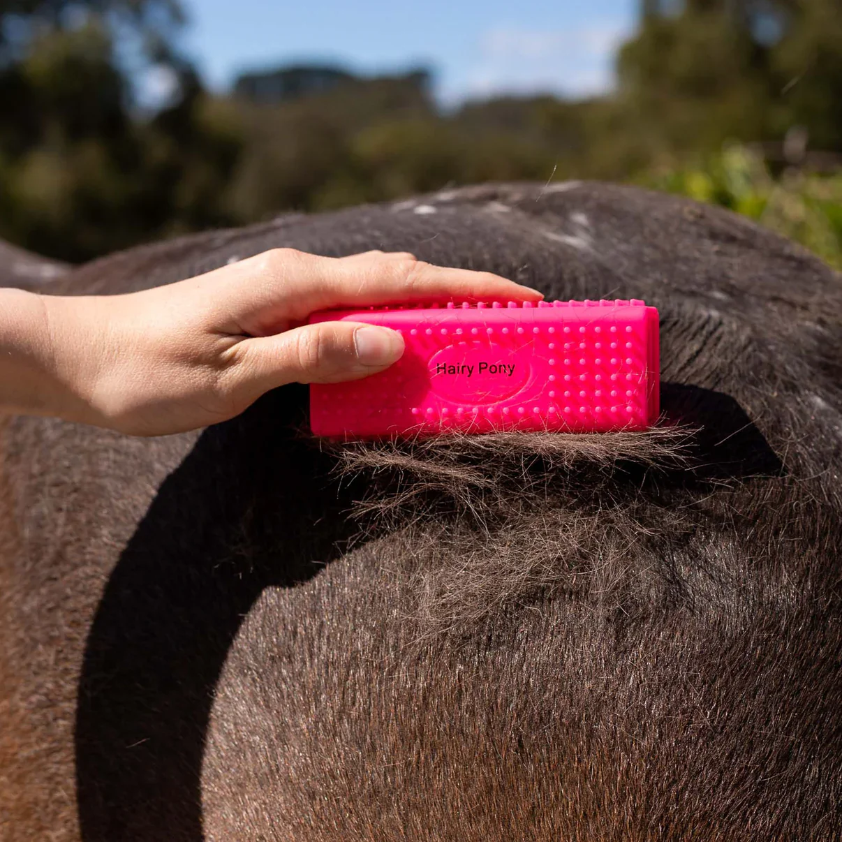 Hairy Pony Grooming Block - Image 2