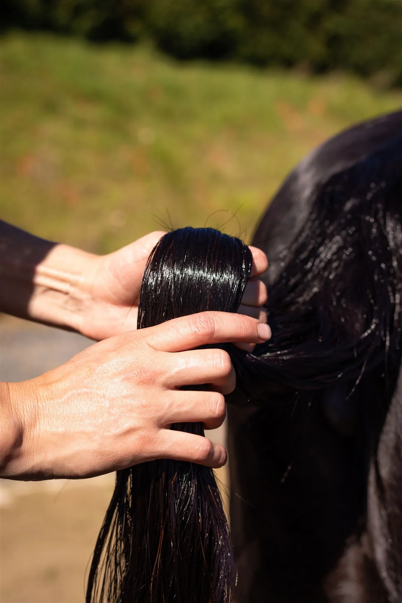 Hairy Pony Hair Repair - Image 3