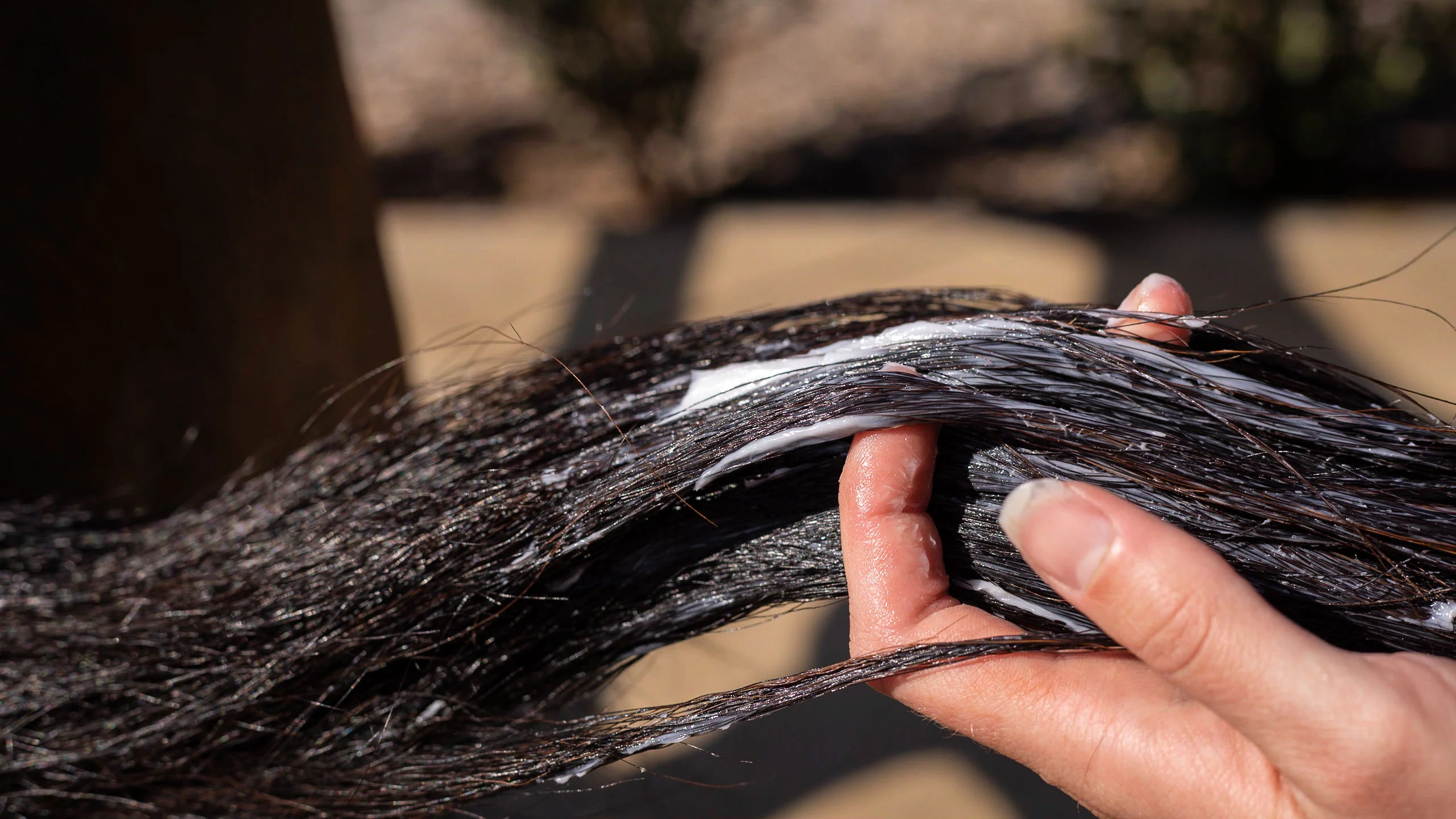 Hairy Pony Hair Repair - Image 4