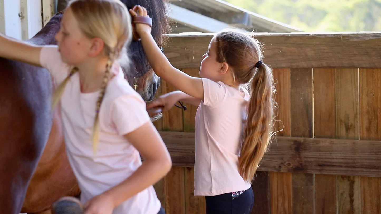 Hairy Pony Kids Brush Kit - New - Image 2