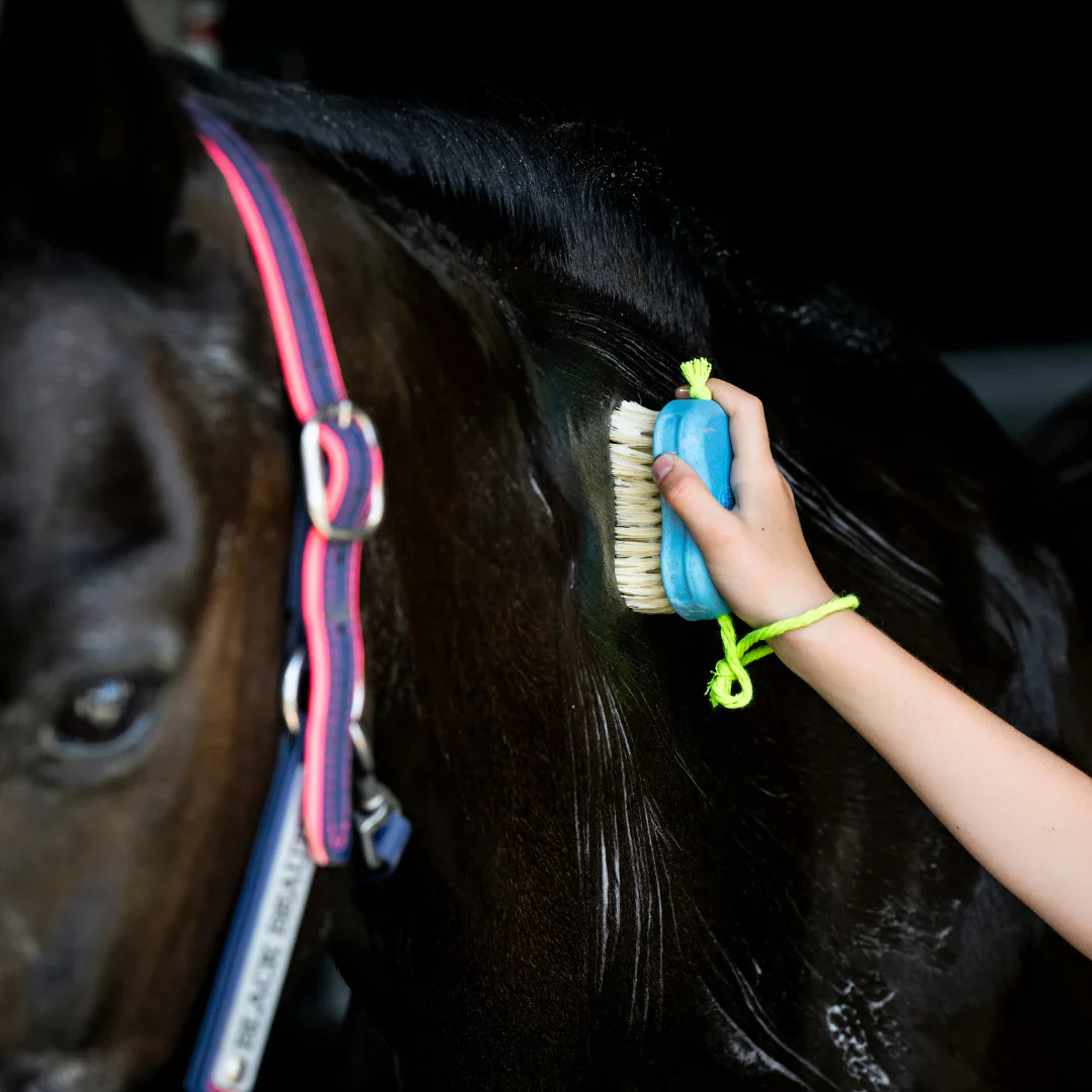 Hairy Pony Kids Wash Bay Kit - Image 3