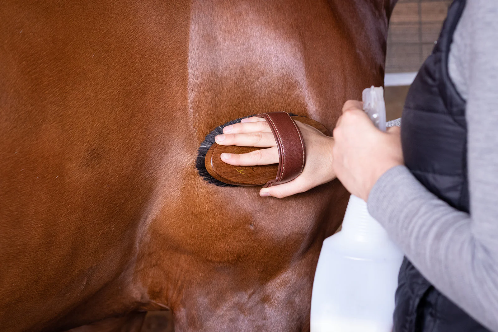 Hairy Pony Original Brush Kit - Image 8