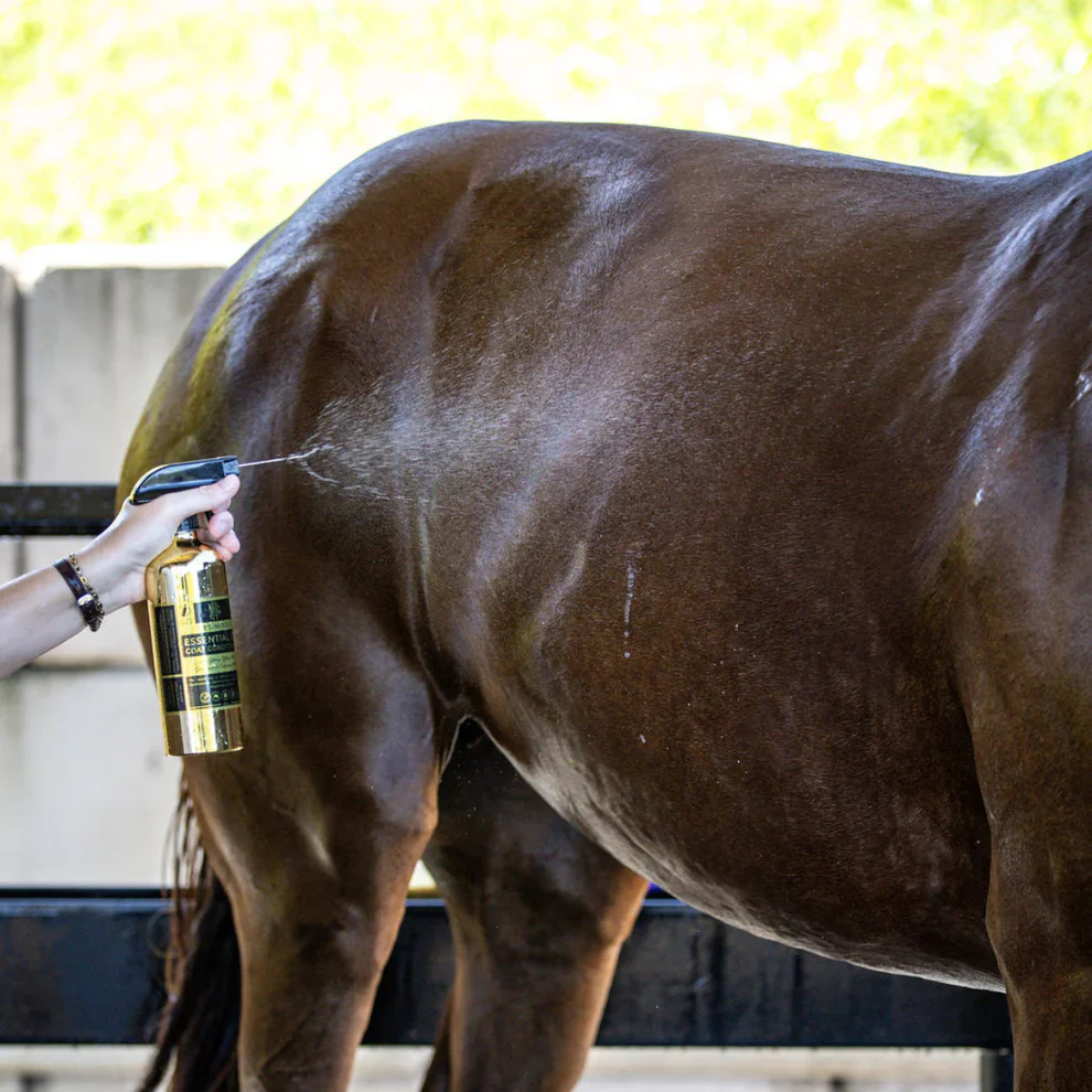 Hairy Pony Pre-Mixed Essential Oil Coat Conditioner - Image 4
