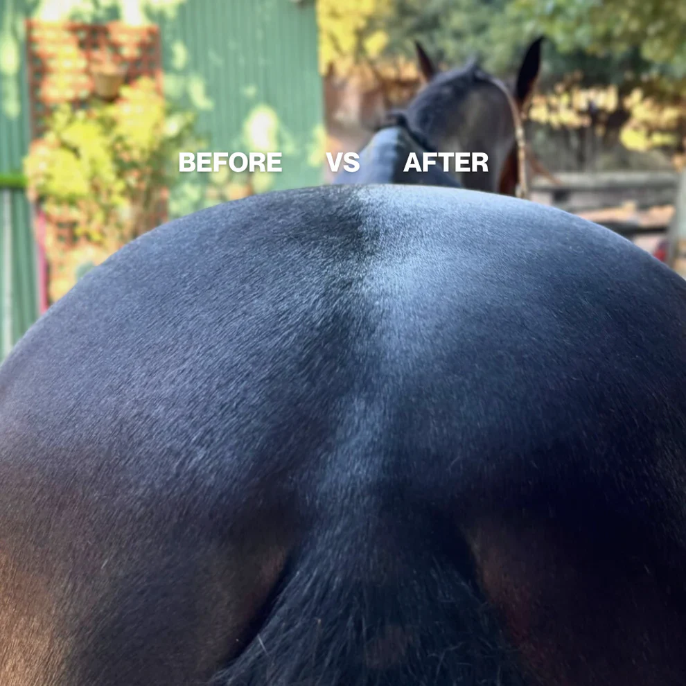 Hairy Pony Pre-Mixed Essential Oil Coat Conditioner - Image 5