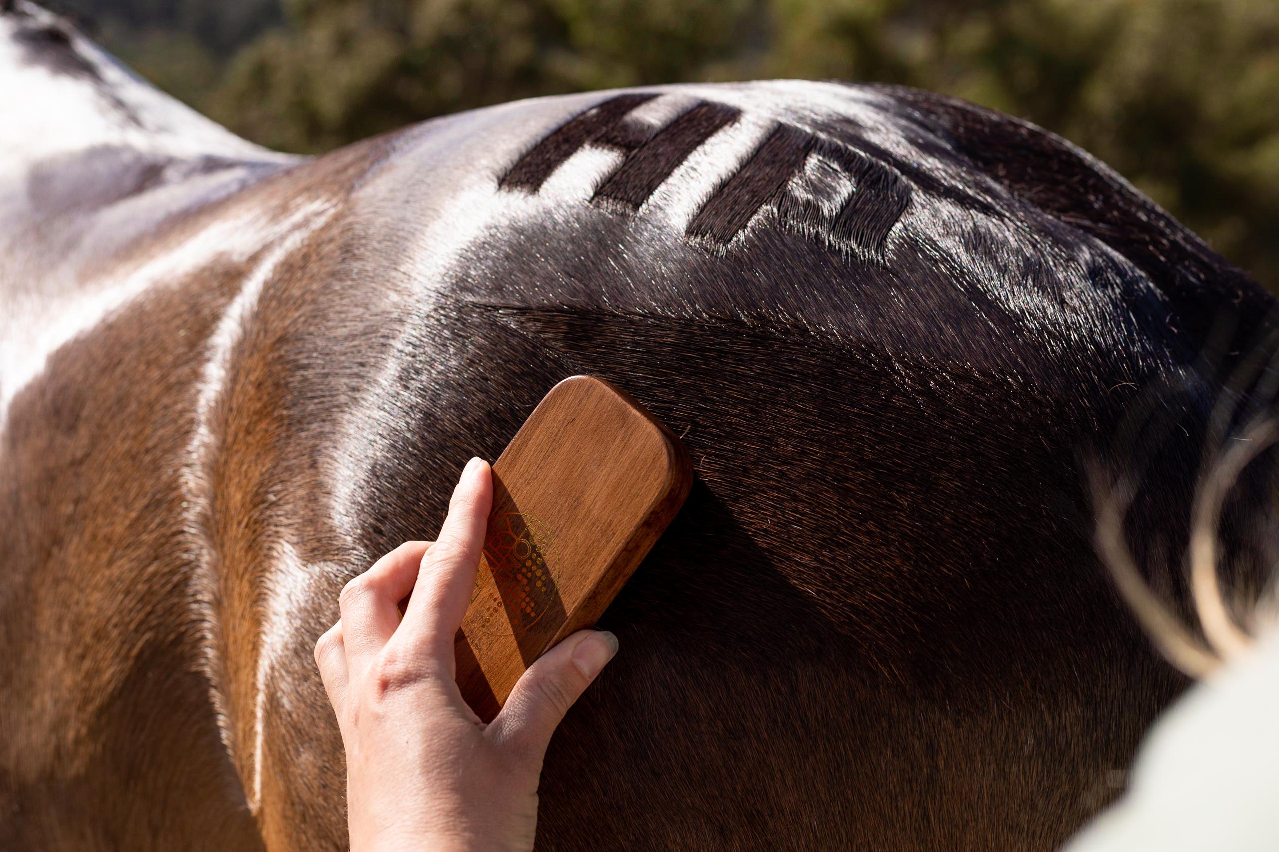 Hairy Pony Quarter Mark Brush - Image 6
