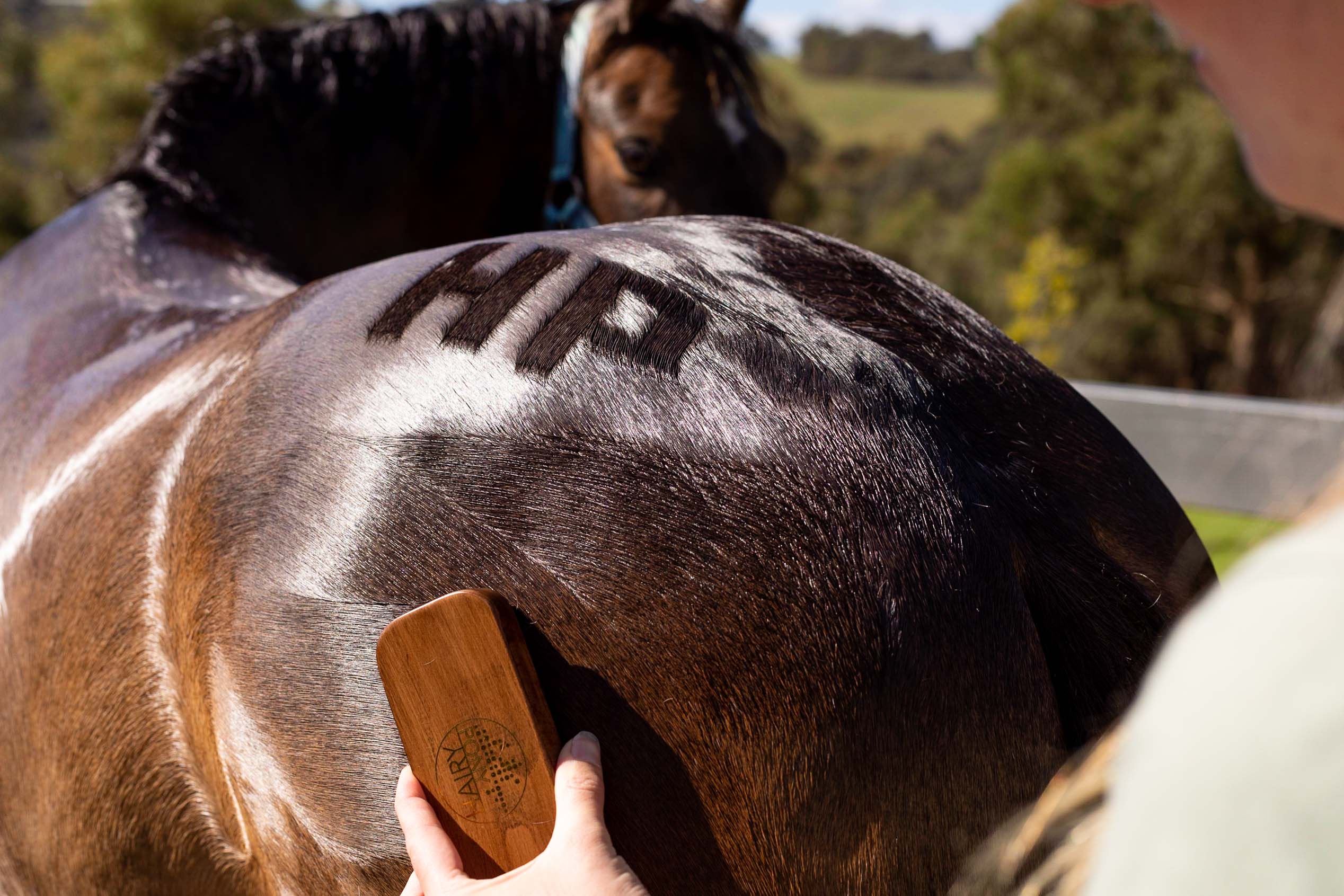 Hairy Pony Quarter Mark Brush - Image 7