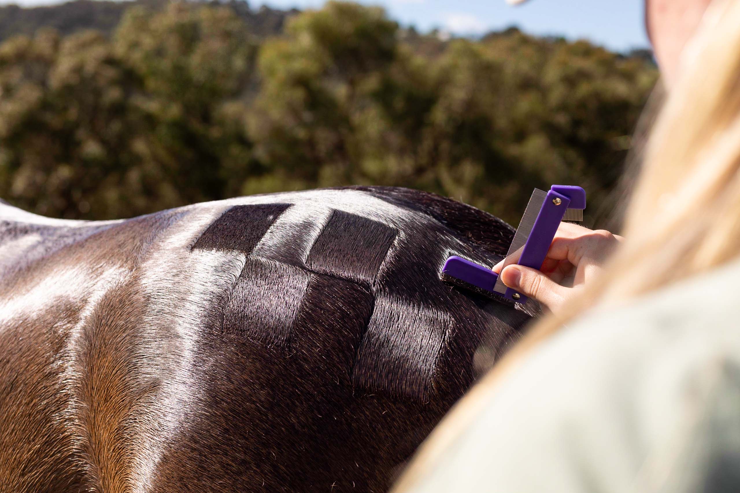 Hairy Pony Quarter Mark Comb - Image 2