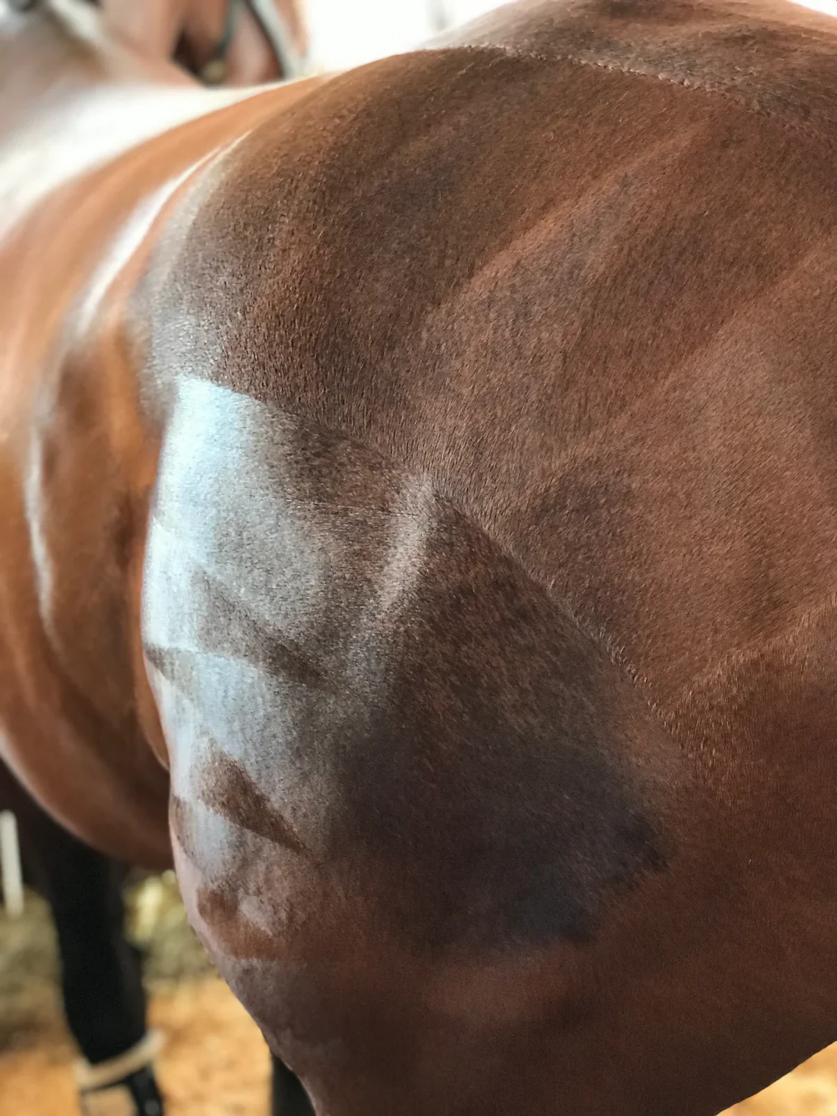 Hairy Pony Quarter Mark Kit - Image 3
