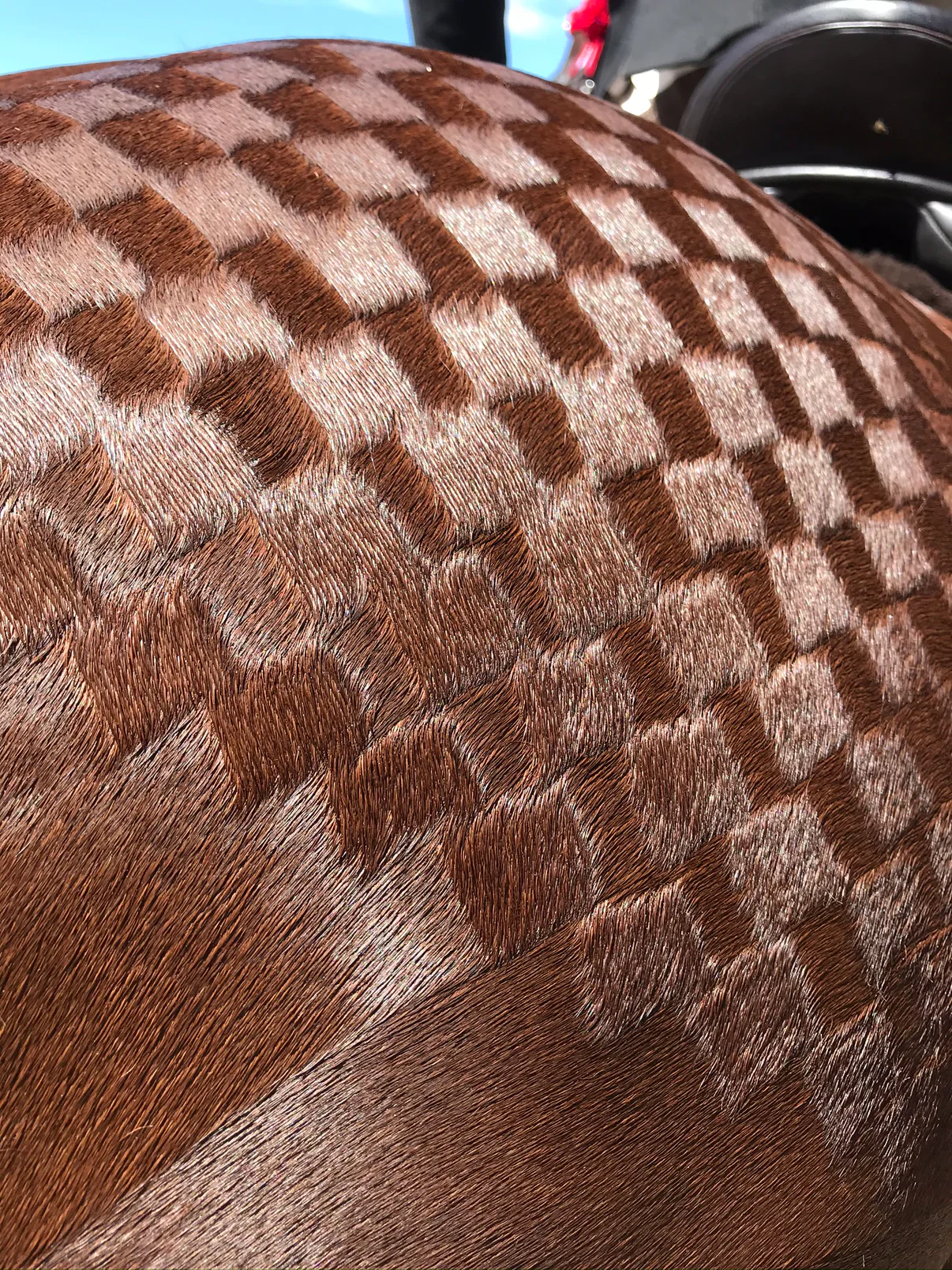 Hairy Pony Quarter Mark Kit - Image 4