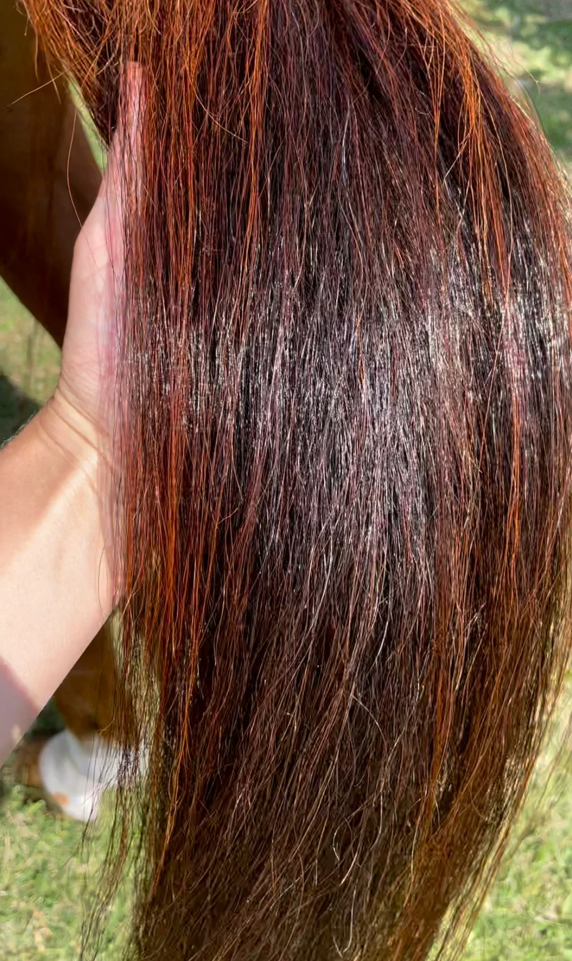 Hairy Pony Silky Serum - Image 2