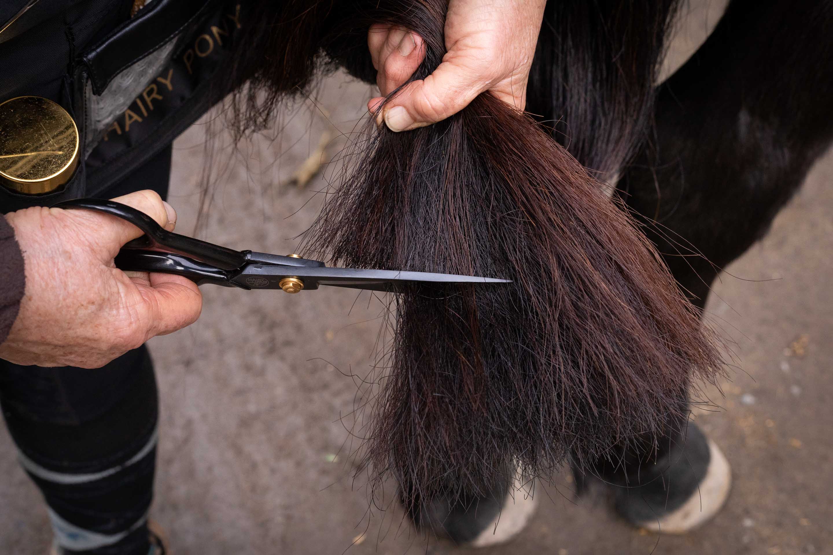 Hairy Pony Tail Trimming Scissors - Image 3