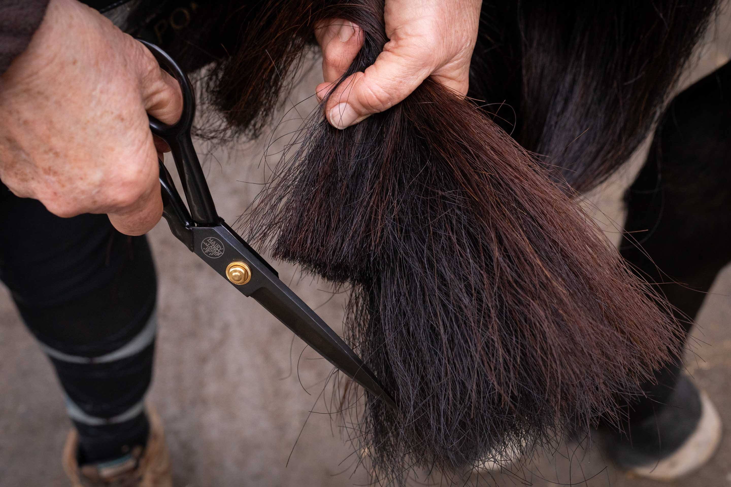 Hairy Pony Tail Trimming Scissors - Image 4