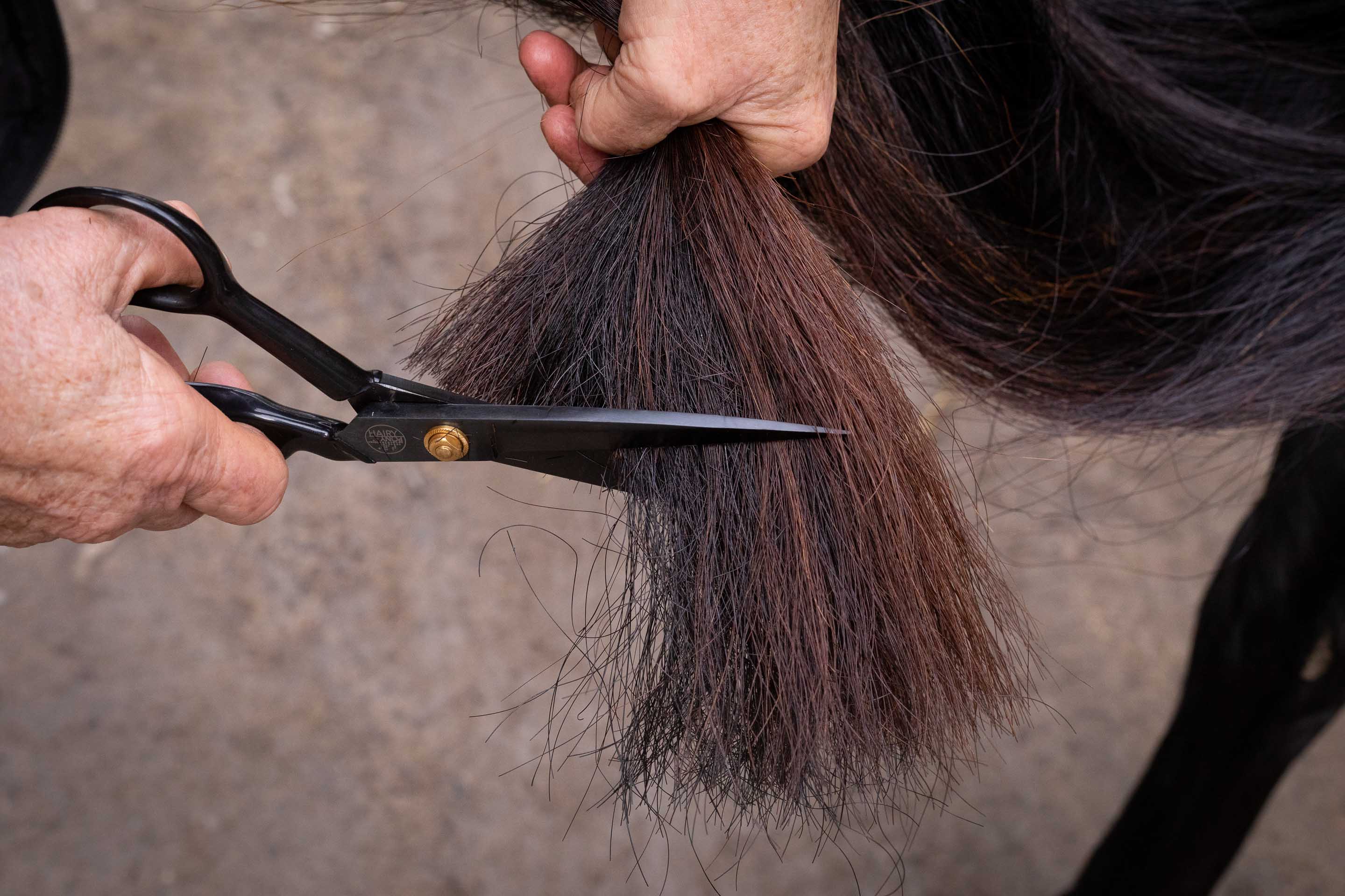 Hairy Pony Tail Trimming Scissors - Image 6