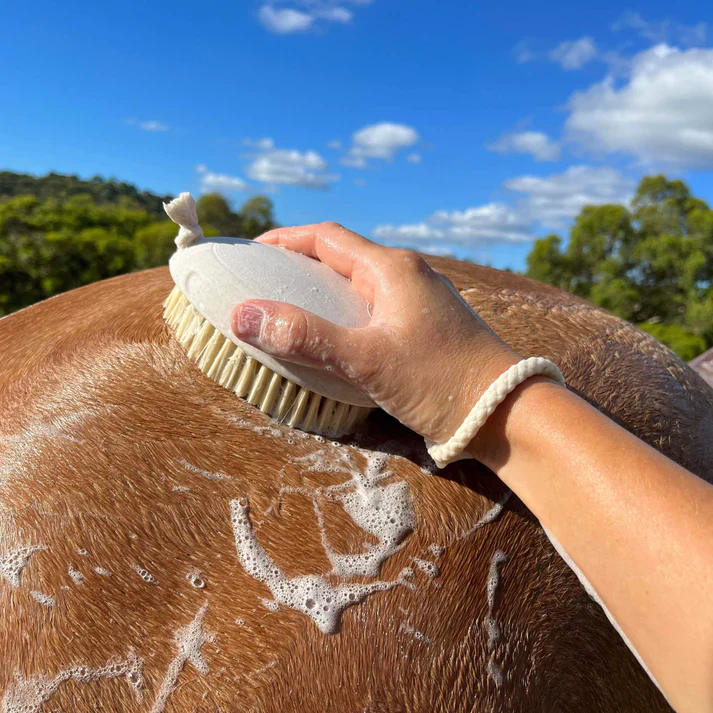 Hairy Pony Wash Bay Brush - Image 2