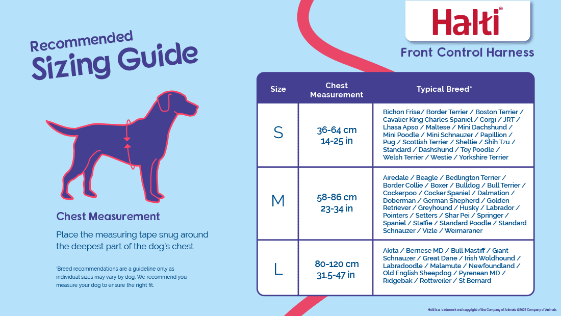 Halti Front Control Dog Harness - Image 3