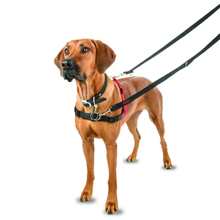 Halti Front Control Dog Harness - Image 4