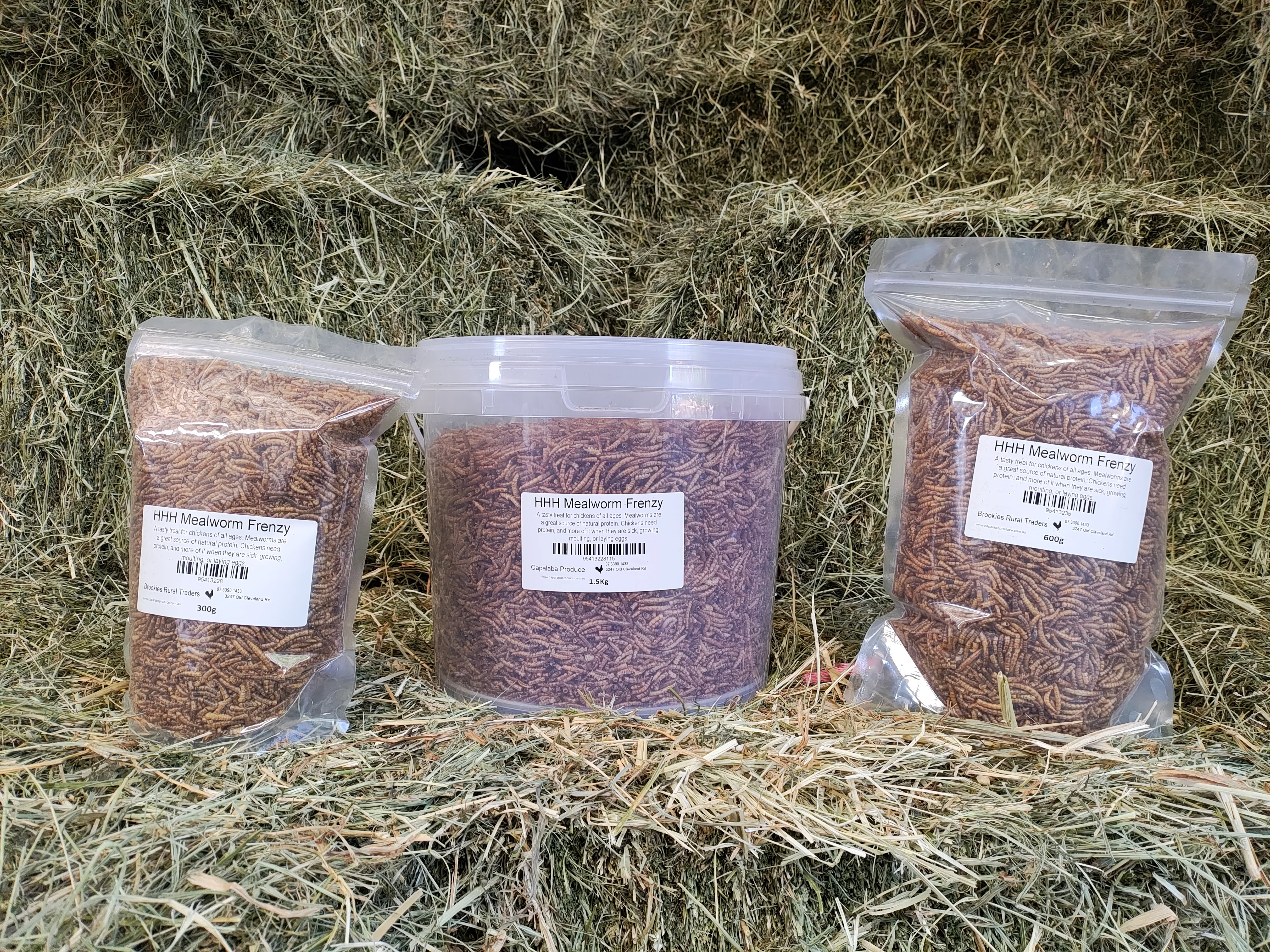 Happy Healthy Hens Mealworm Frenzy - Image 4