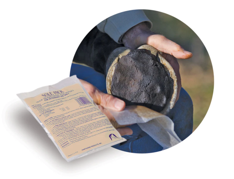 Hawthorne Sole Pack Paddie - Image 2
