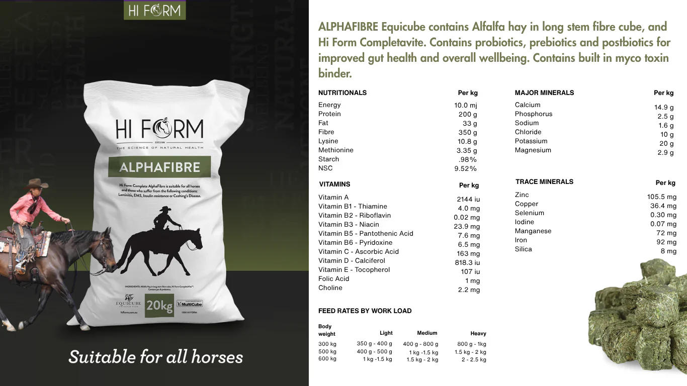 Hi Form Equicube Alphafibre - Image 2