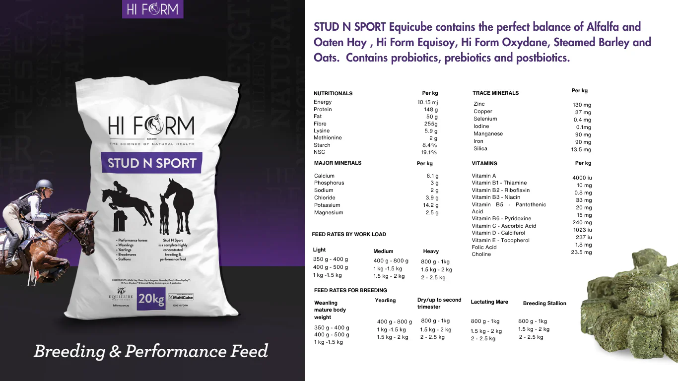 Hi Form Equicube Stud N Sport - Image 2