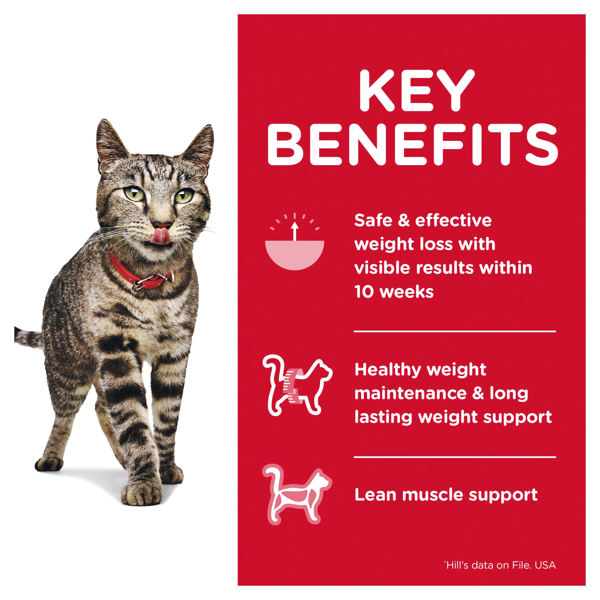 Hills Science Diet Adult Perfect Weight Chicken Pouch Wet Cat Food - Image 3