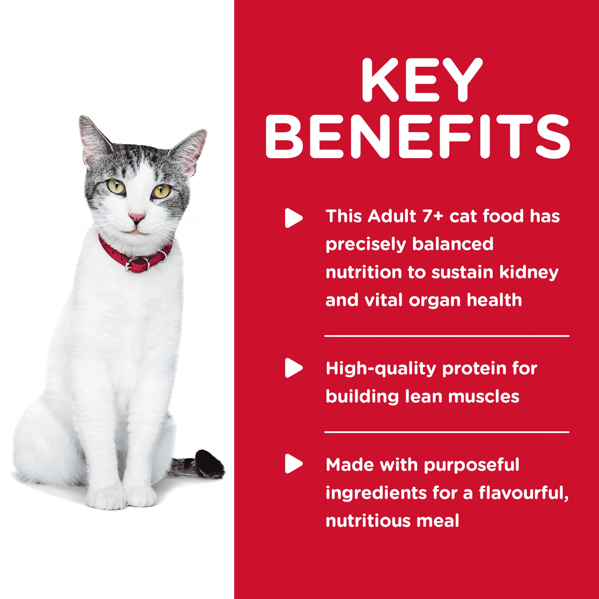 Hills Science Diet Adult Cat 11+ Dry Food - Image 3