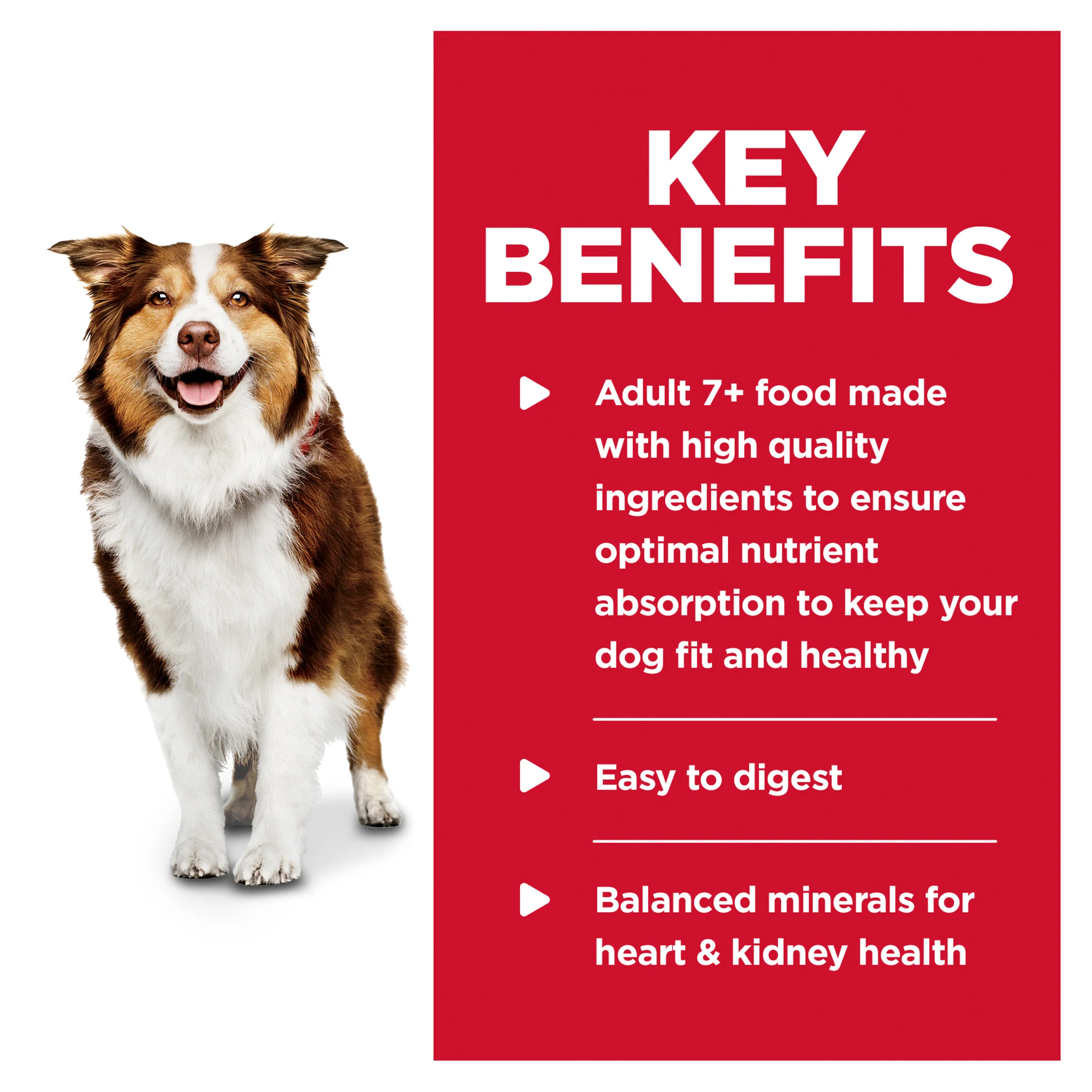 Hills Science Diet Adult 7+ Chicken and Barley Wet Dog Food - Image 3