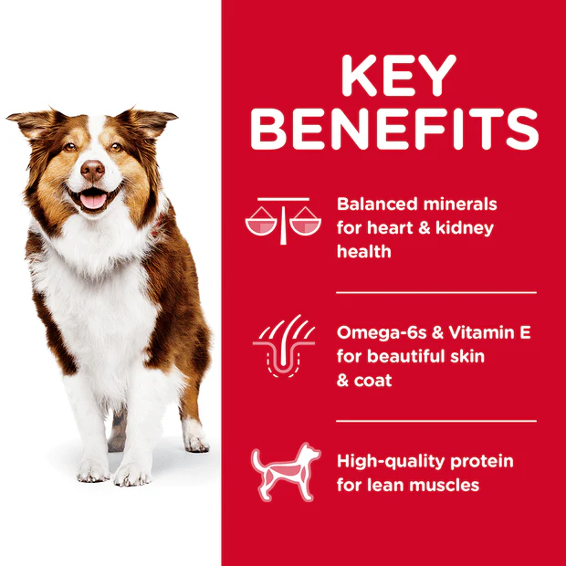 Hills Science Diet Senior Adult 7+ Dry Dog Food - Image 2