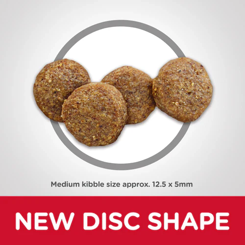 Hills Science Diet Senior Adult 7+ Dry Dog Food - Image 3