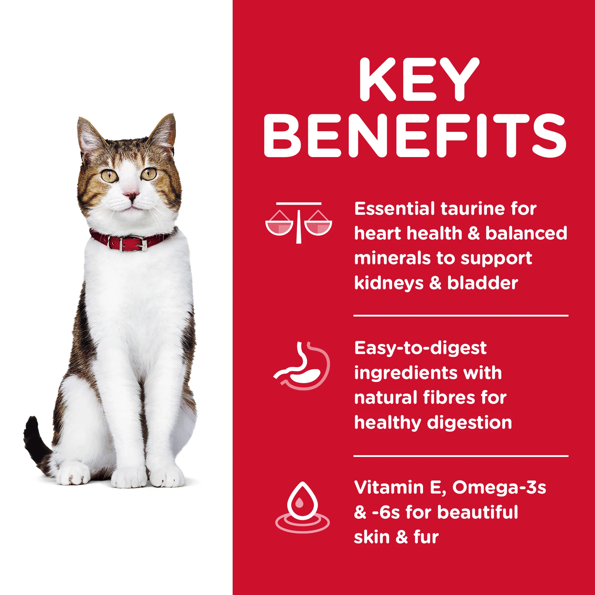 Hills Science Diet Adult Cat 7+ Dry Food - Image 3