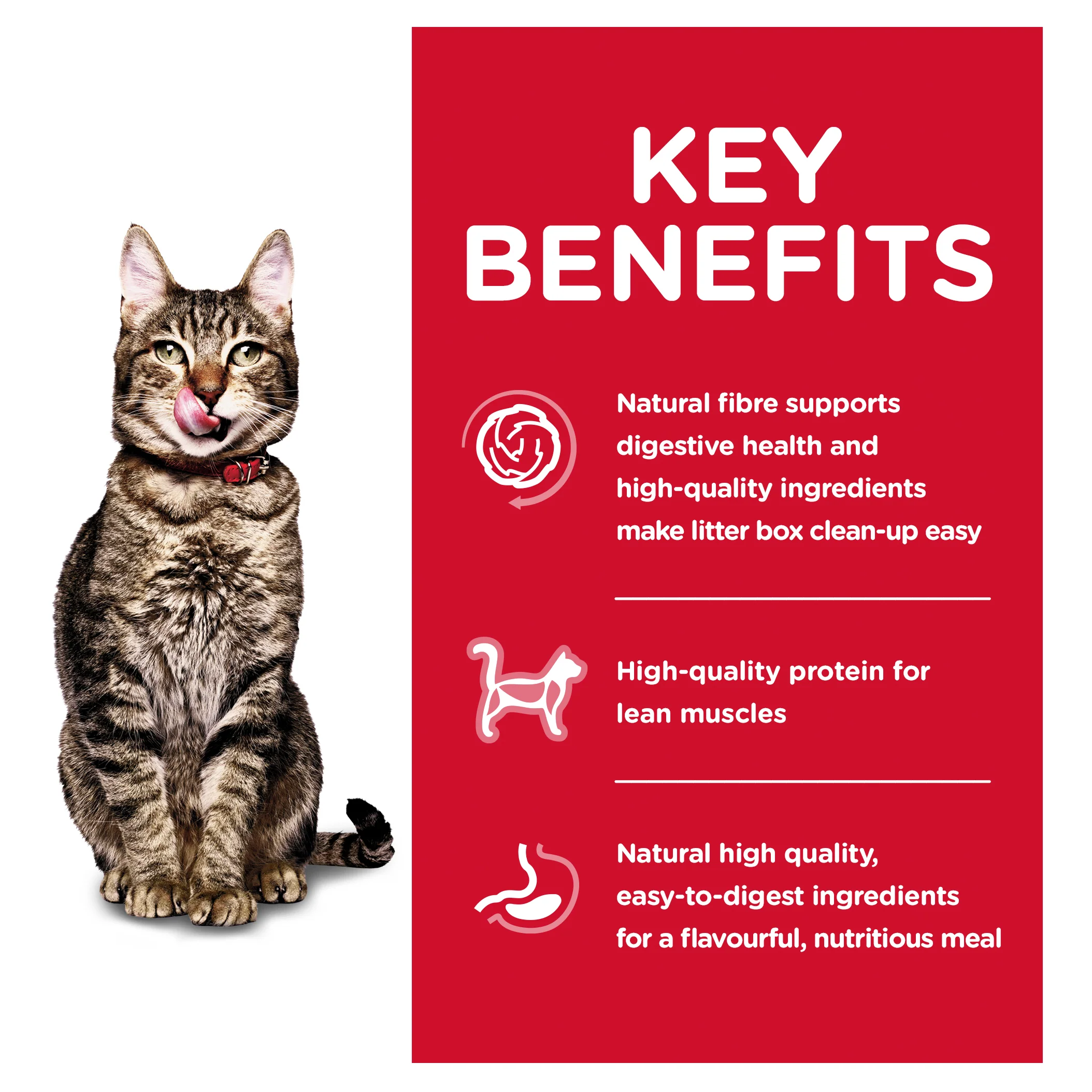 Hills Science Diet Adult Cat 7+ Indoor Dry Food - Image 3