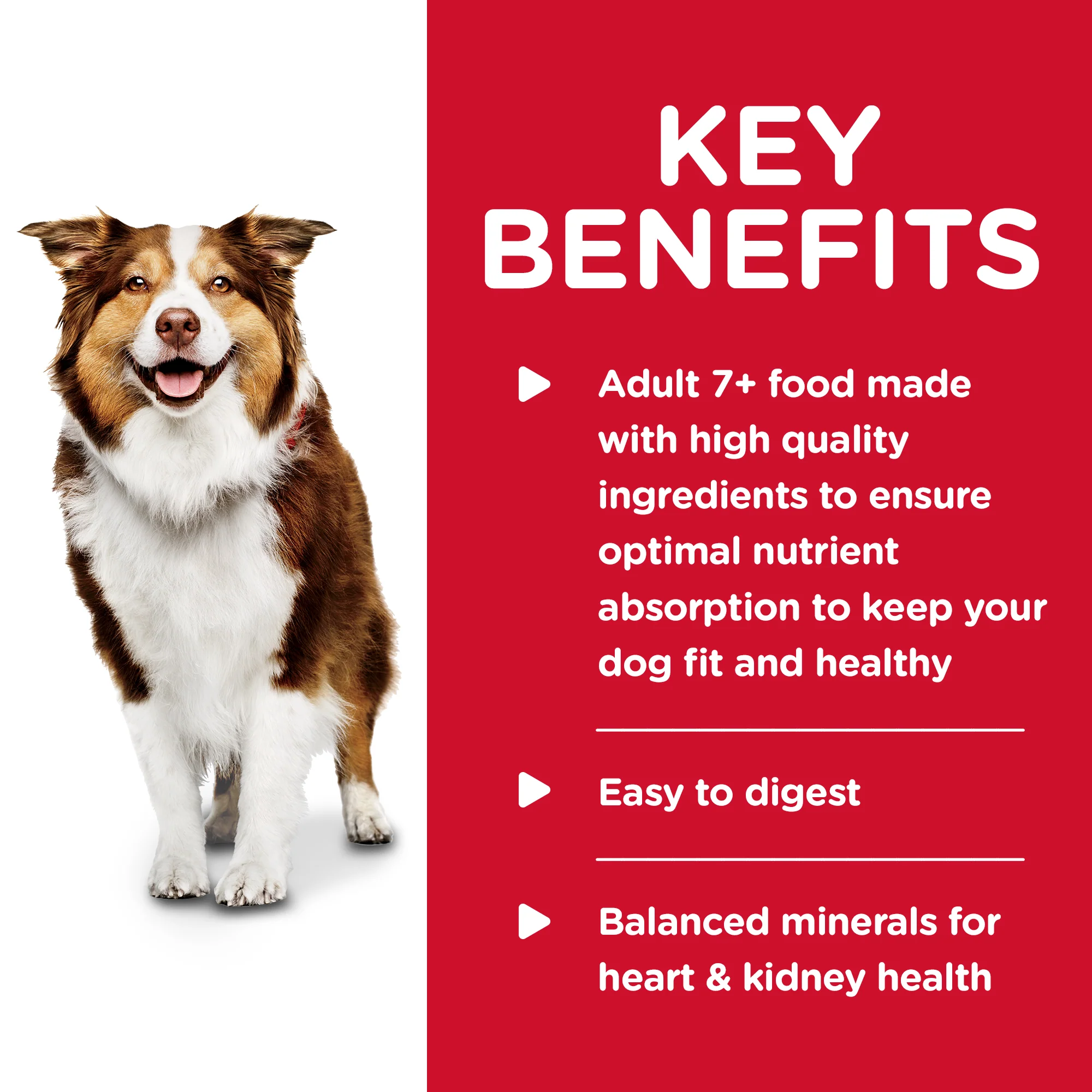 Hills Science Diet Adult 7+ Savory Stew Beef Wet Dog Food - Image 4