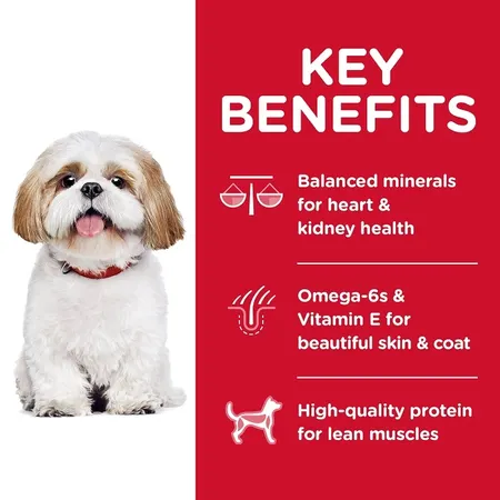 Hills Science Diet Senior Adult 7+ Small Bites Dry Dog Food - Image 3