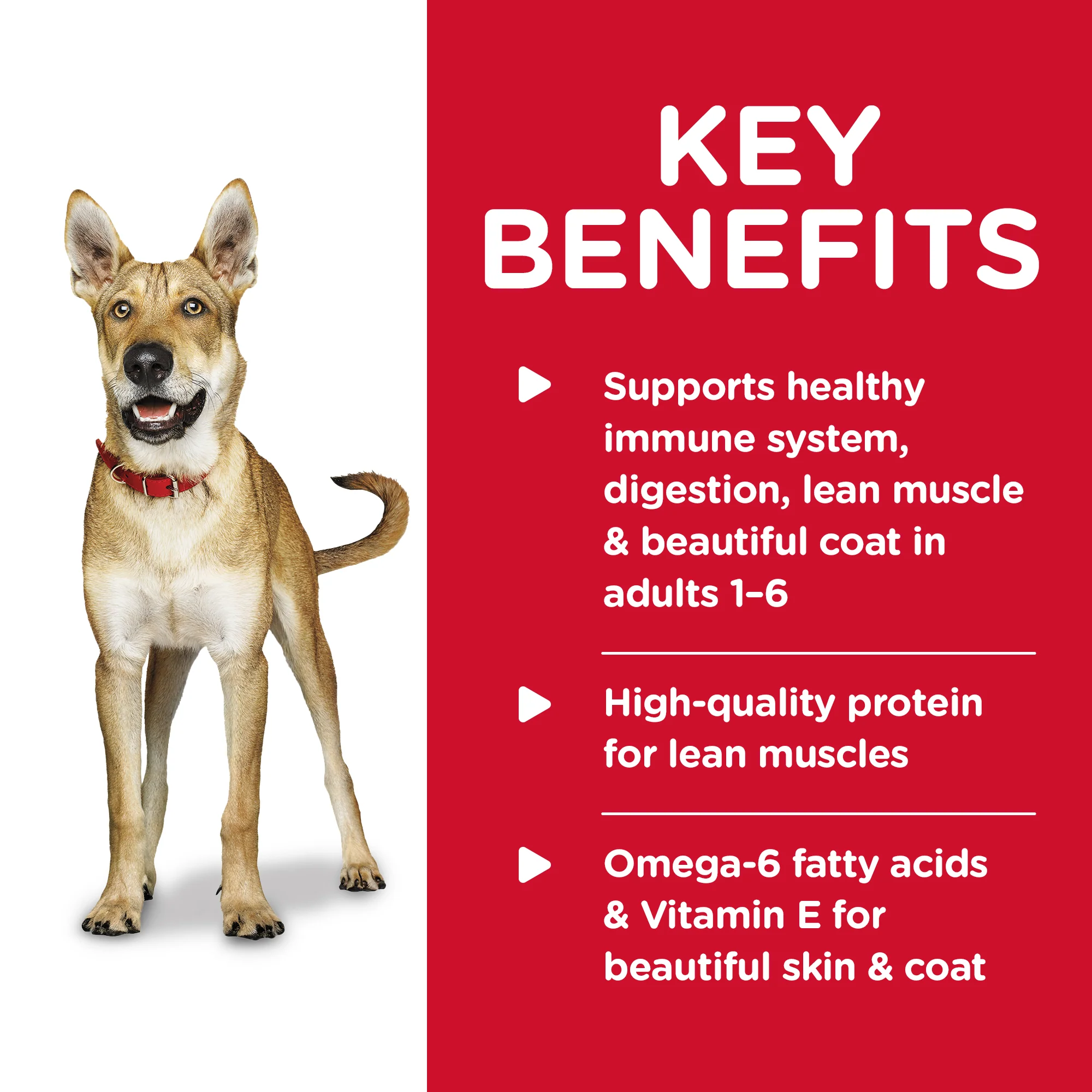 Hills Science Diet Adult Beef and Barley Wet Dog Food - Image 3