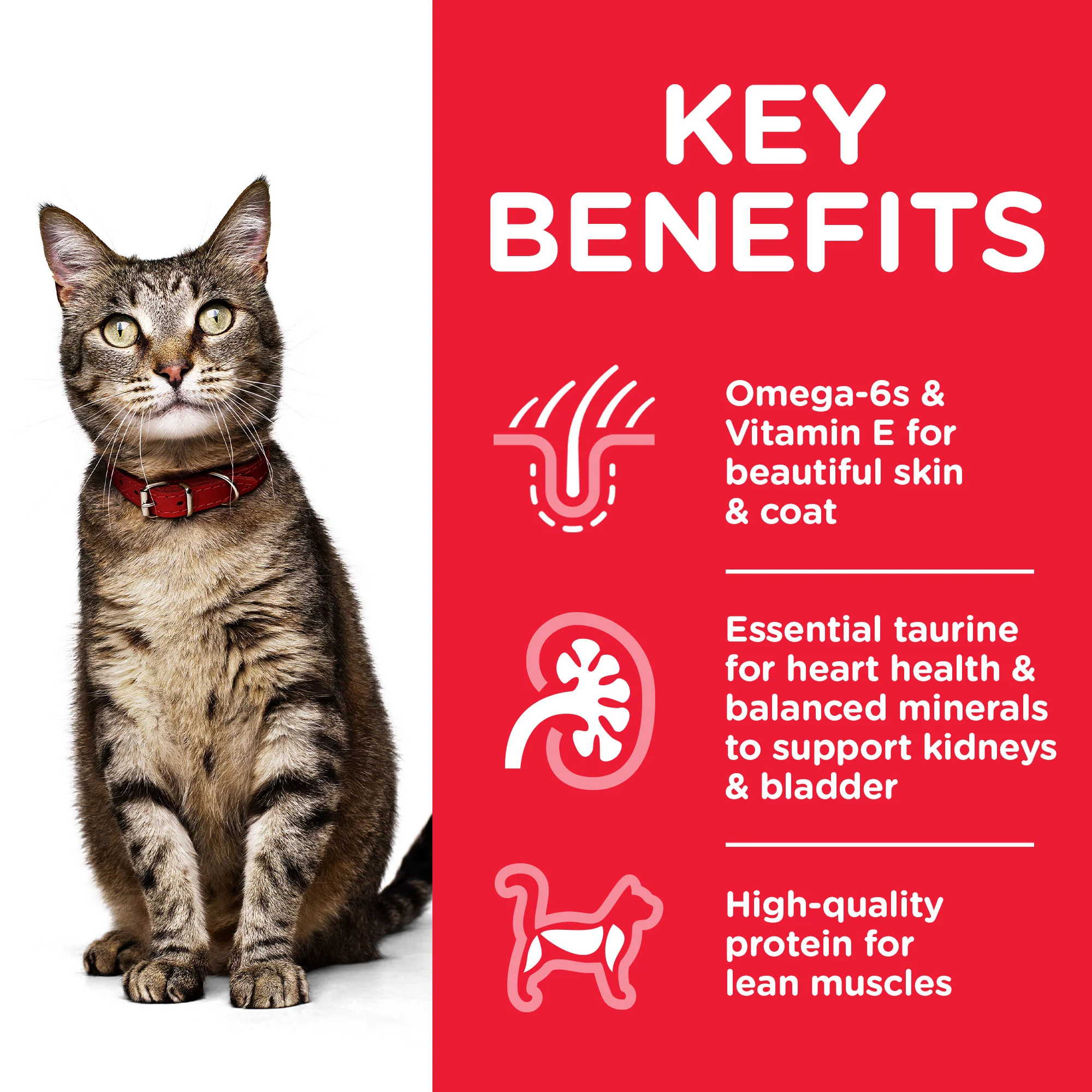 Hills Science Diet Adult Beef Pouch Wet Cat Food - Image 3