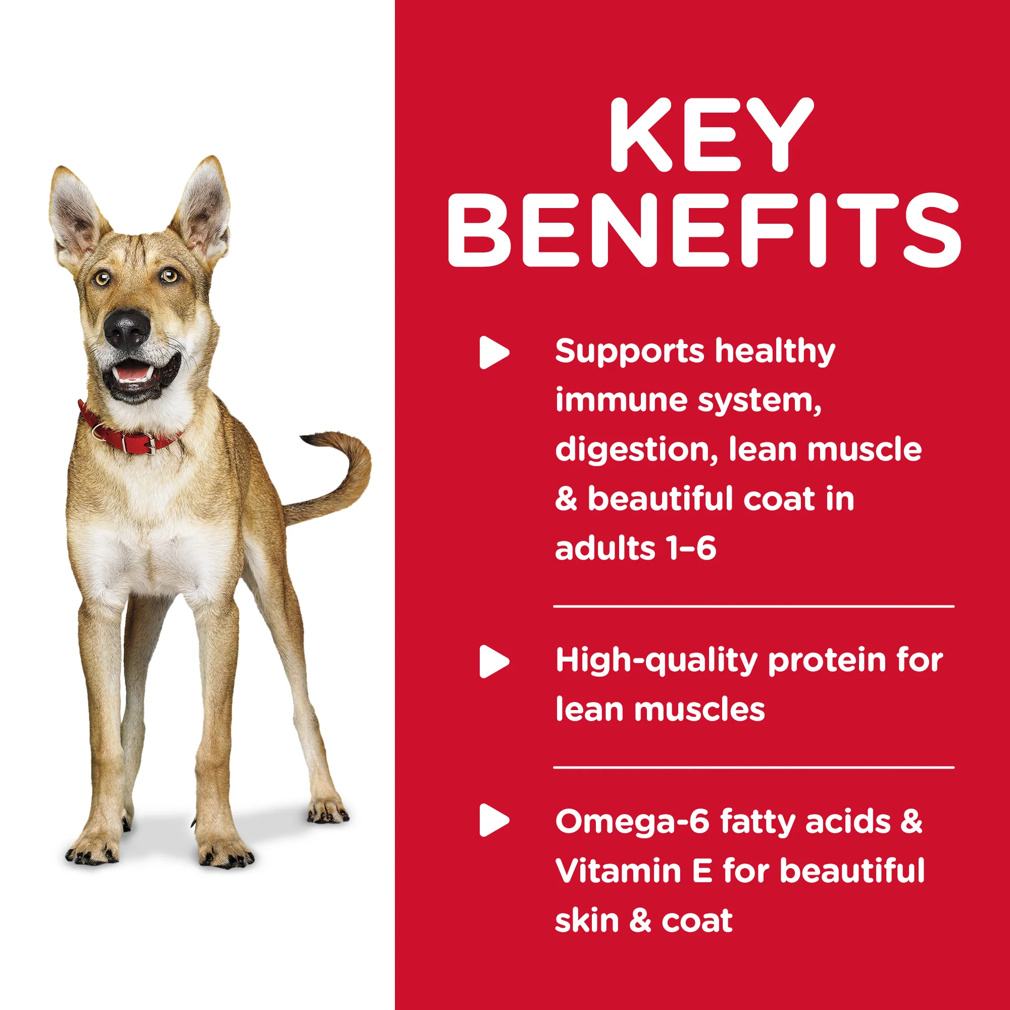 Hills Science Diet Adult Chicken and Barley Wet Dog Food - Image 3