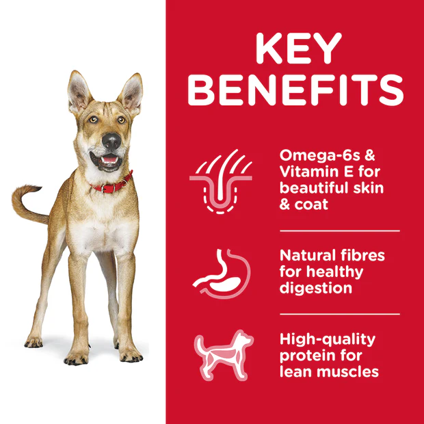 Hills Science Diet Adult Dry Dog Food - Image 2