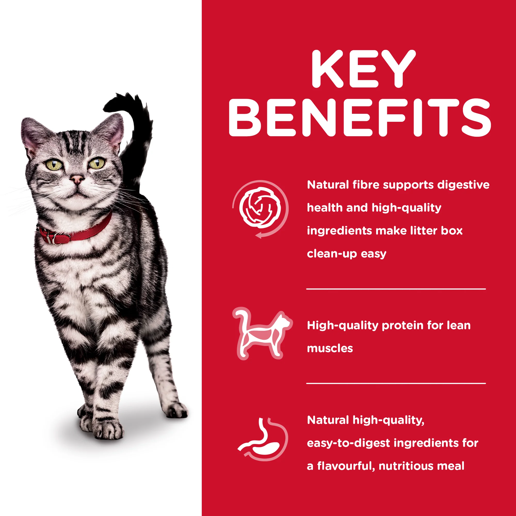 Hills Science Diet Adult Cat Indoor Dry Food - Image 3