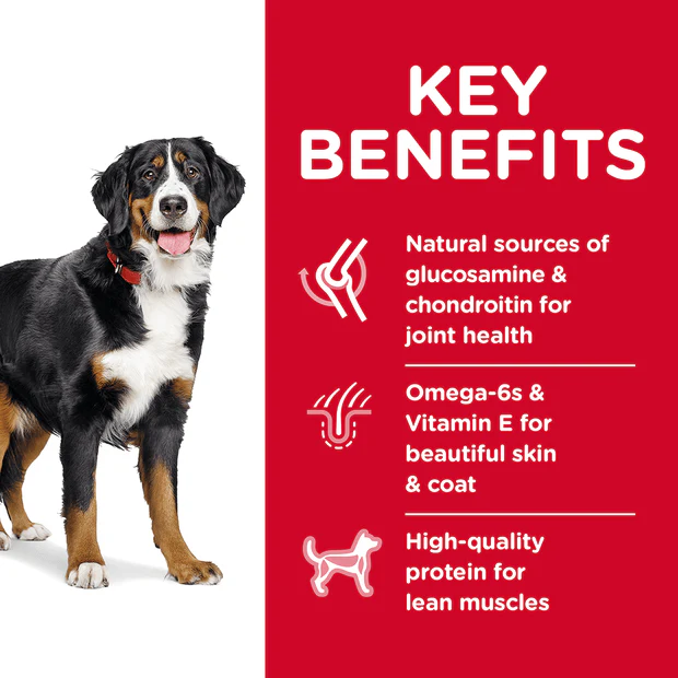 Hills Science Diet Adult Large Breed Dry Dog Food - Image 2
