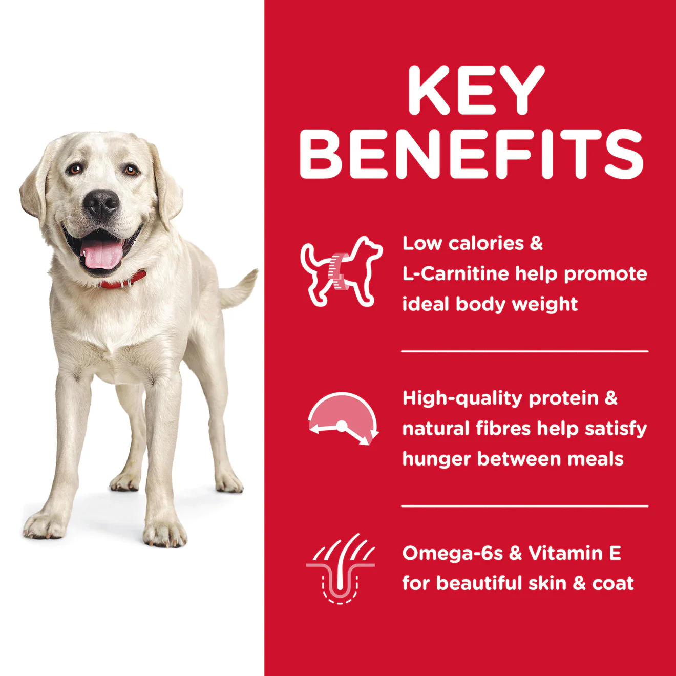 Hills Science Diet Adult Large Breed Light Dry Dog Food - Image 2