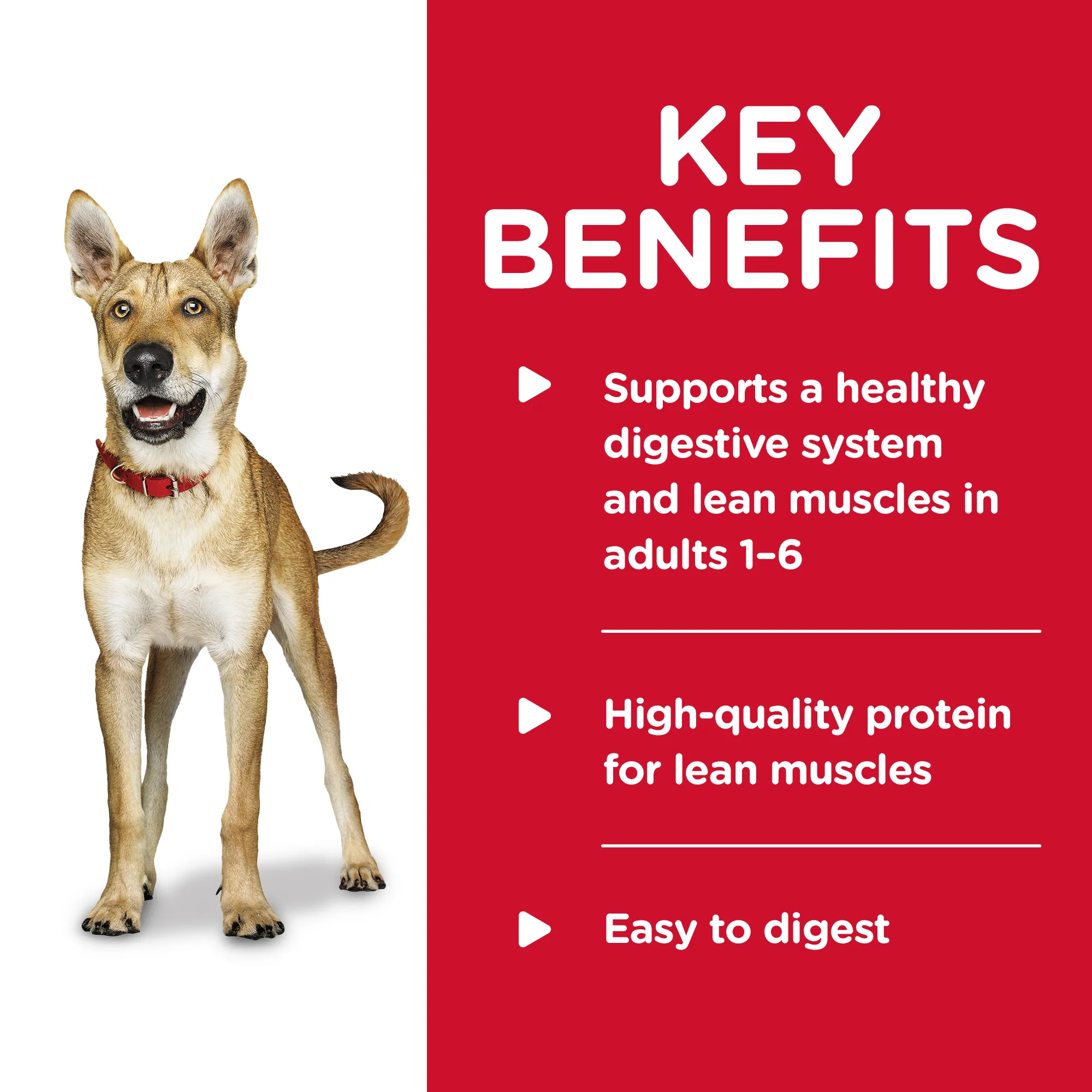 Hills Science Diet Adult Savory Stew Beef Wet Dog Food - Image 3